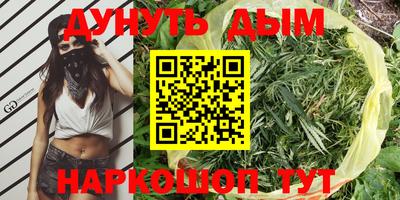 ГАЛЛЮЦИНОГЕННЫЕ ГРИБЫ Малгобек